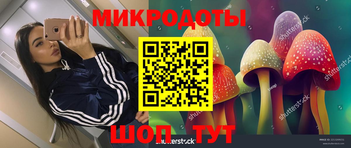 купить закладку  Псилоцибиновые грибы Psilocybe  Псилоцибиновые грибы Psilocybine cubensis  Вход с VPN  Россия 