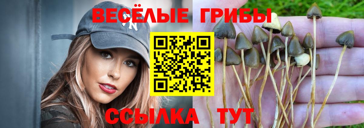 Галлюциногенные грибы прущие грибы Россия